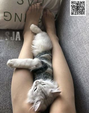 好男人免费影院WWW神马_国产剧在线观看